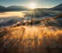 91麻豆精品国产综合久久久久久-国产精品，挖掘文化根脉的璀璨明珠