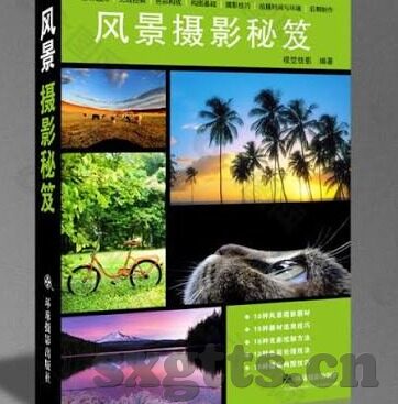 麻豆传媒主页-沉浸在创意的海洋，揭秘麻豆传媒主页的视觉盛宴