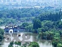 欧美理论在线大象视频-欧美理论在线与大象视频，文化交流的桥梁