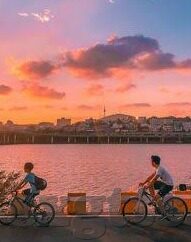 日韩av无线吗-探索日韩AV文化，无线之境的多元视角