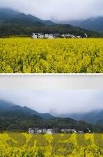 糖心app_免费下载-浅尝科技自由，免费探索糖心APP的魅力